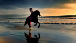 video desert rose - sting e cheb mamy