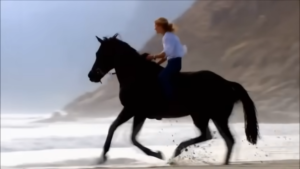 video_desert rose - sting e cheb mamy